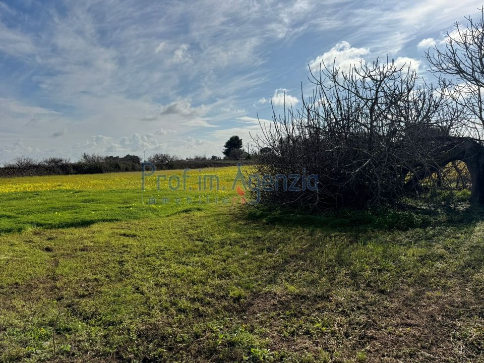 Helårsgrund i Carovigno, Brindisi - foto 4